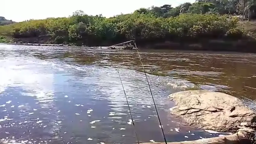 Demonstração real com peixe na linha